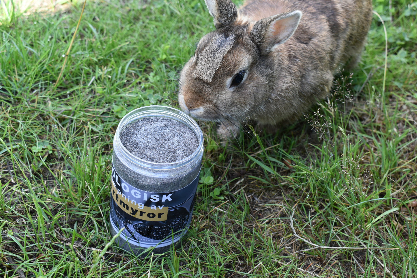 Gårdens ekologiska bekämpning av Svartmyror - 400ml